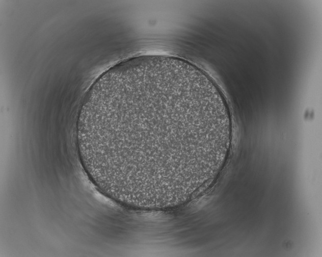 X0000112060385200909151030