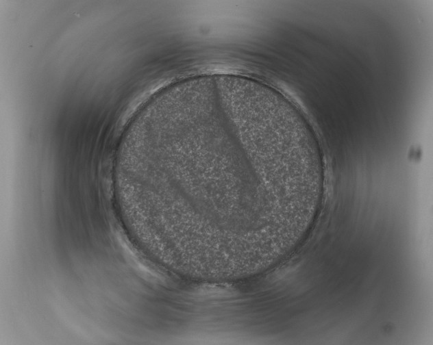 X0000112060386200909151030