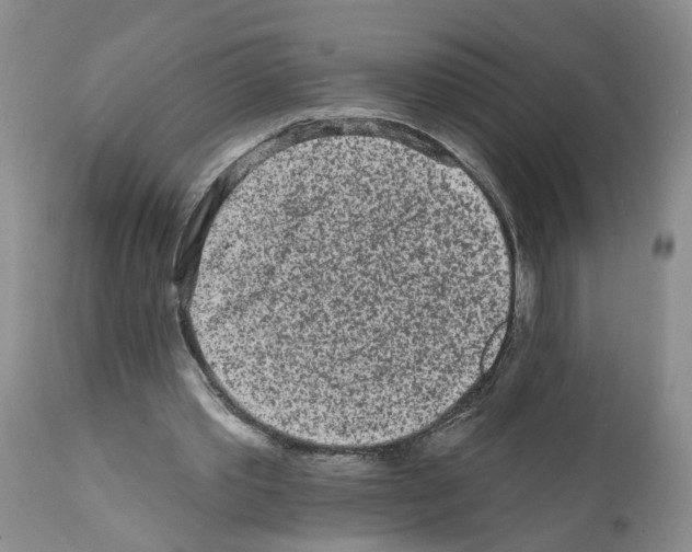 X0000112060389200909151030