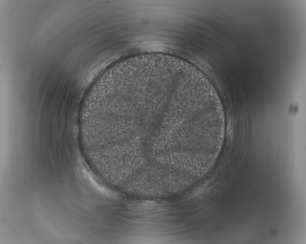 X0000112060390200909151030