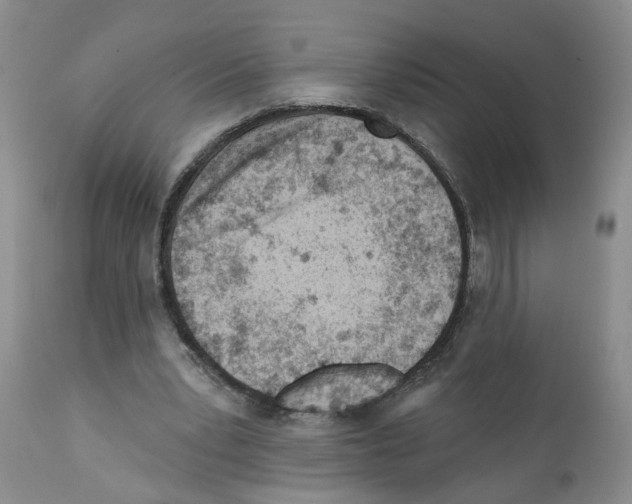 X0000112060391200909151030
