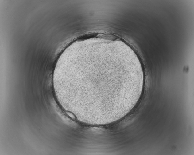 X0000112060393200909151030