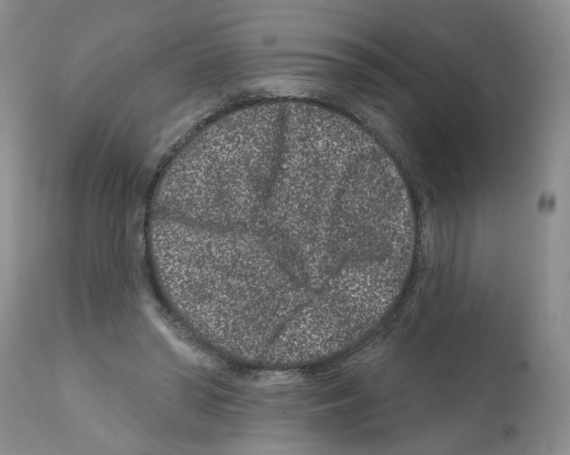 X0000112060398200909151030