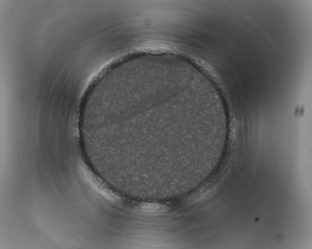 X0000112060399200909151030