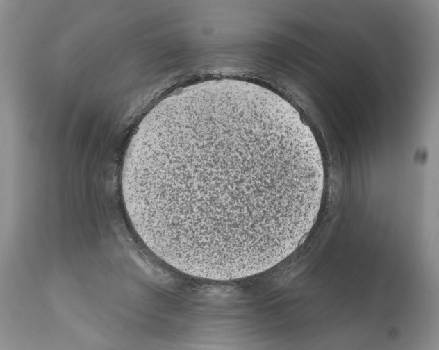 X0000112060401200909151030