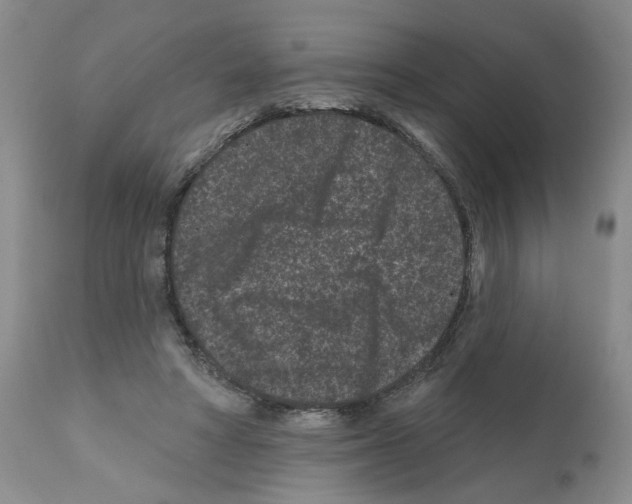 X0000112060402200909151030