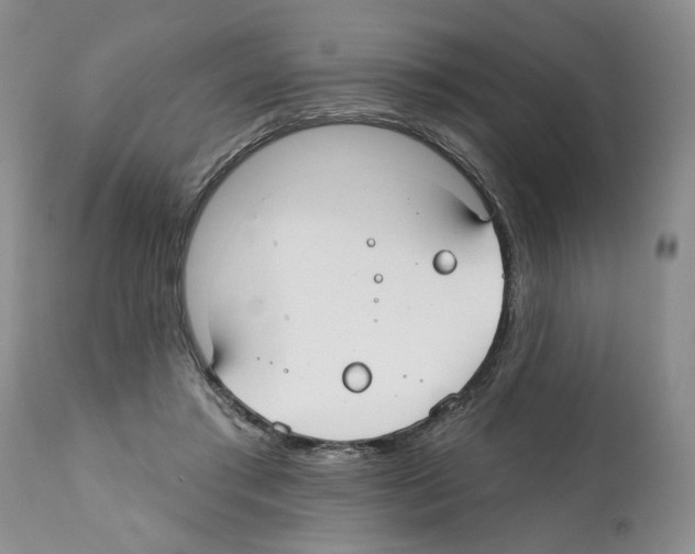X0000112060405200909151030