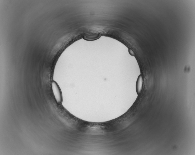 X0000112060407200909151030