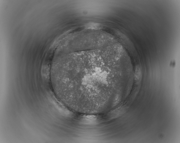 X0000112060409200909151030