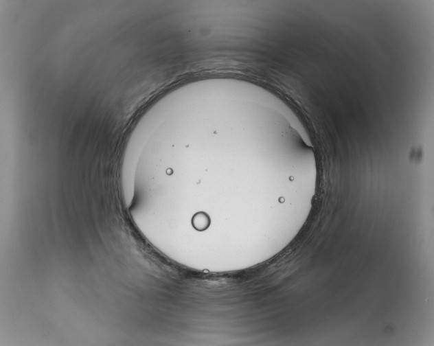 X0000112060411200909151030