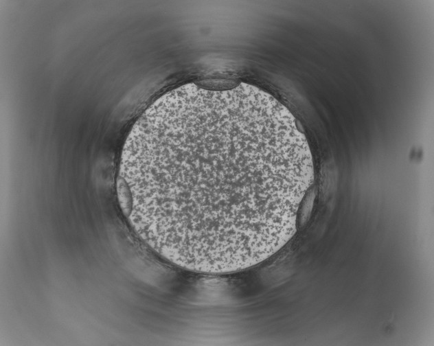 X0000112060413200909151030
