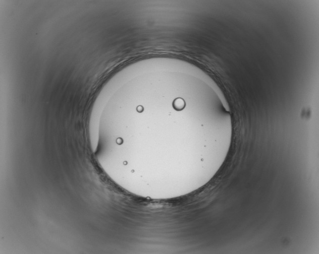 X0000112060415200909151030