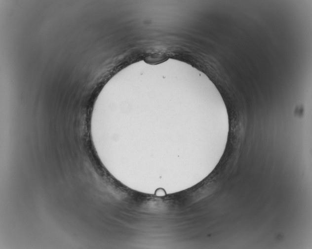 X0000112060416200909151030
