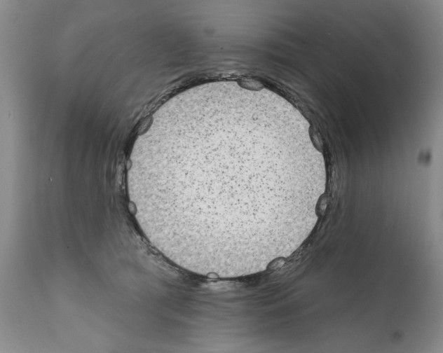 X0000112060417200909151030