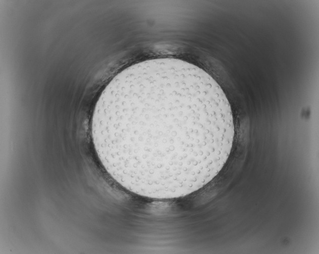 X0000112060418200909151030