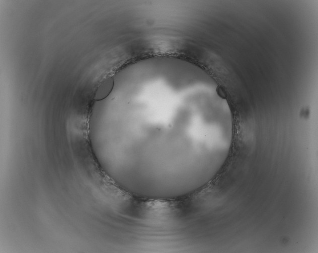 X0000112060419200909151030