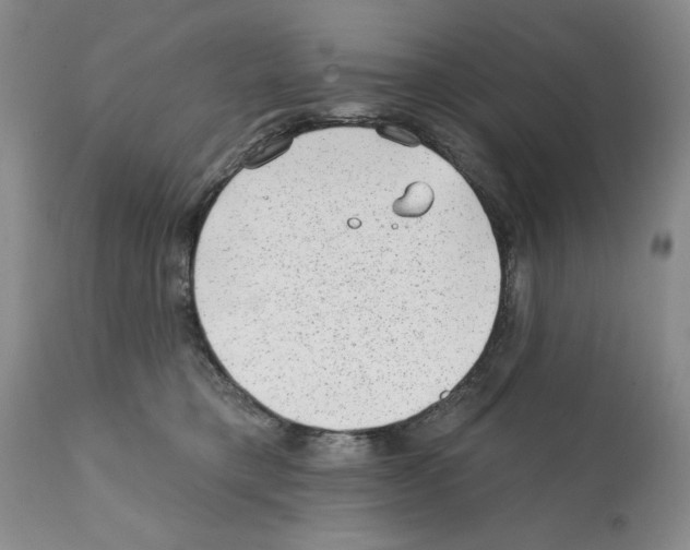 X0000112060421200909151030