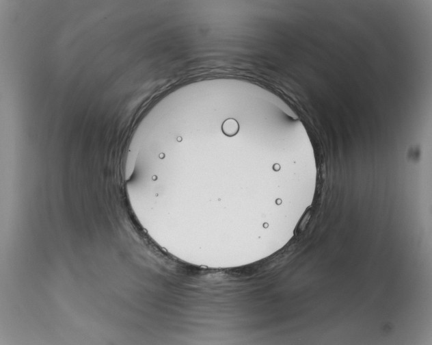 X0000112060423200909151030