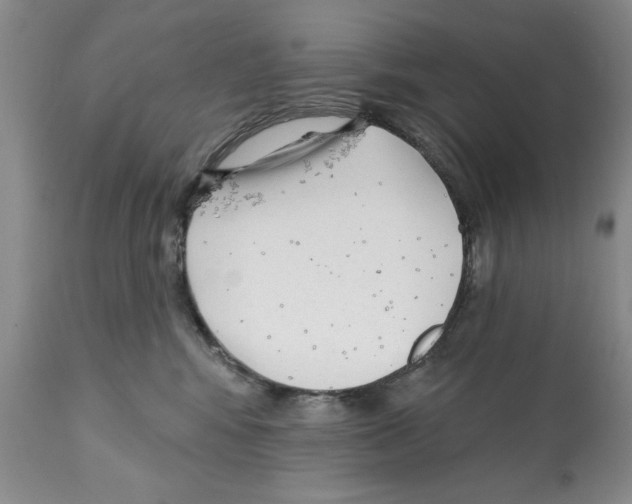 X0000112060424200909151030