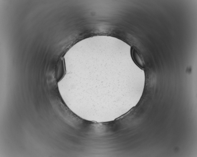 X0000112060425200909151030
