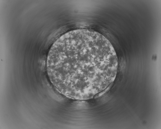 X0000112060427200909151030