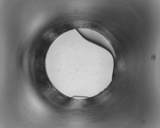 X0000112060429200909151030