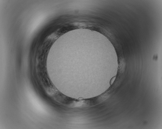 X0000112060430200909151030