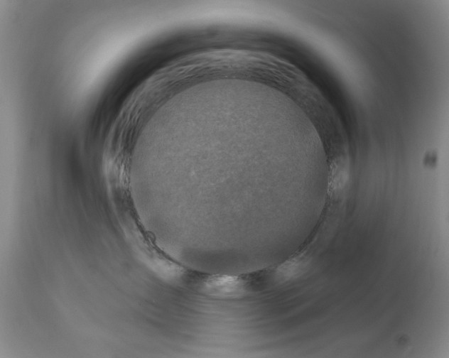 X0000112060431200909151030