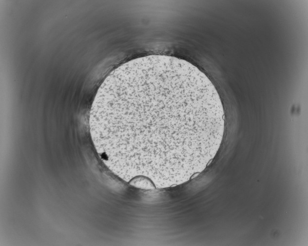 X0000112060432200909151030