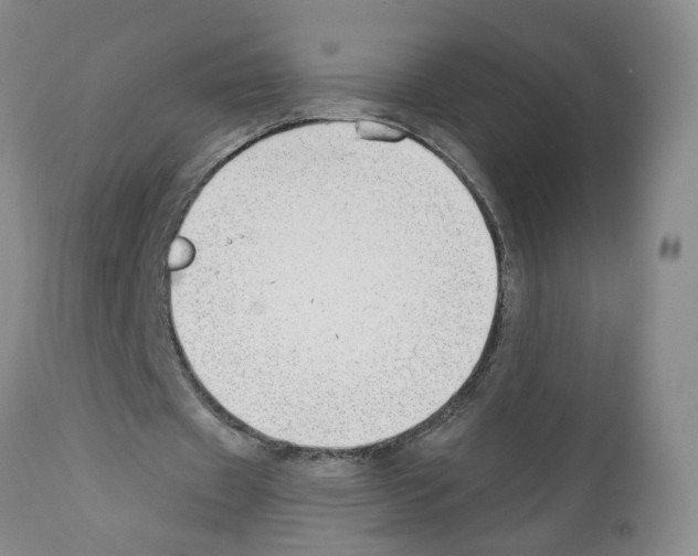 X0000112060433200909151029