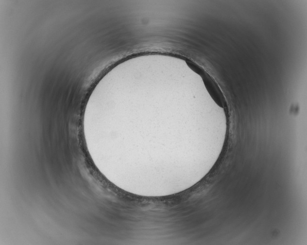 X0000112060434200909151029