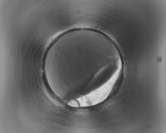 X0000112060438200909151029