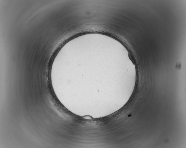 X0000112060439200909151029