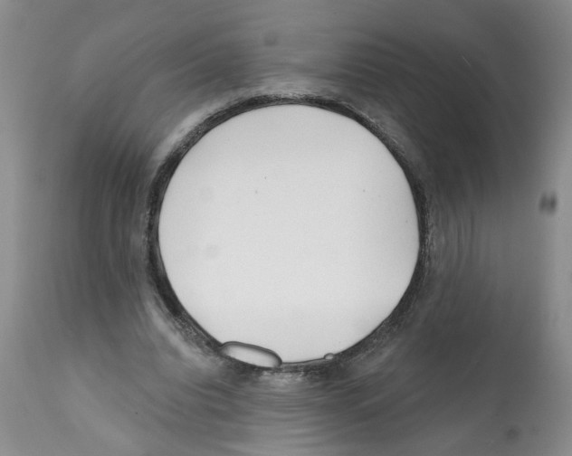 X0000112060440200909151029