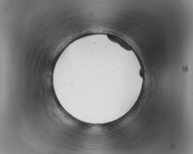 X0000112060441200909151029