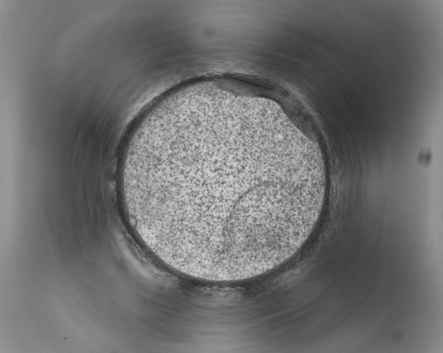 X0000112060443200909151029