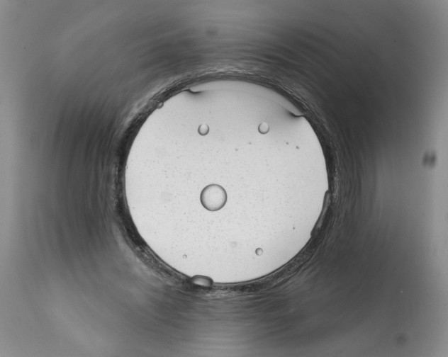 X0000112060444200909151029