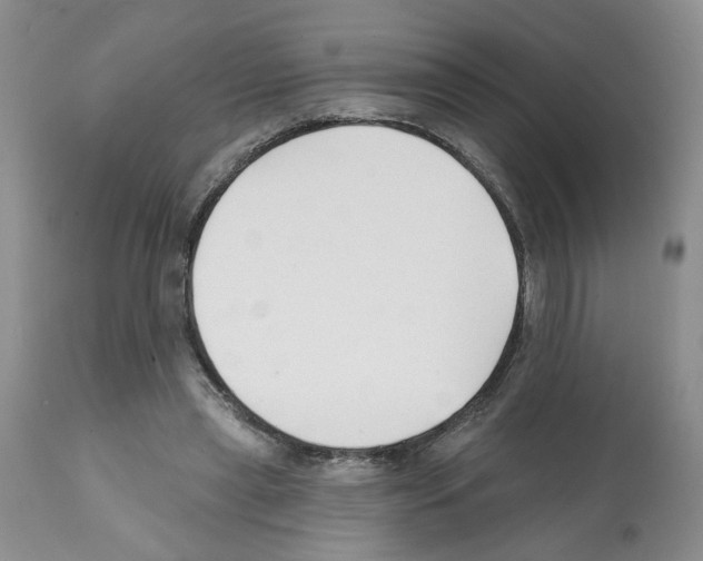 X0000112060445200909151029