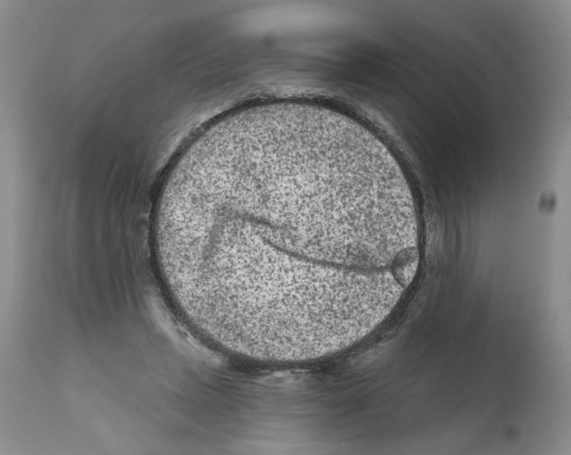 X0000112060447200909151029