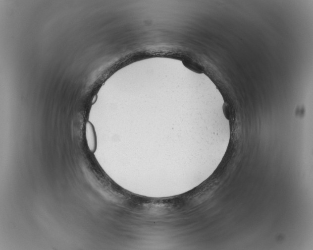 X0000112060448200909151029