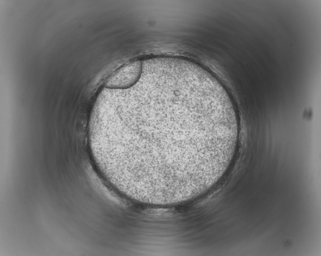X0000112060449200909151029