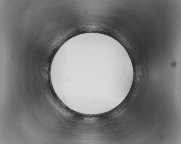 X0000112060450200909151029