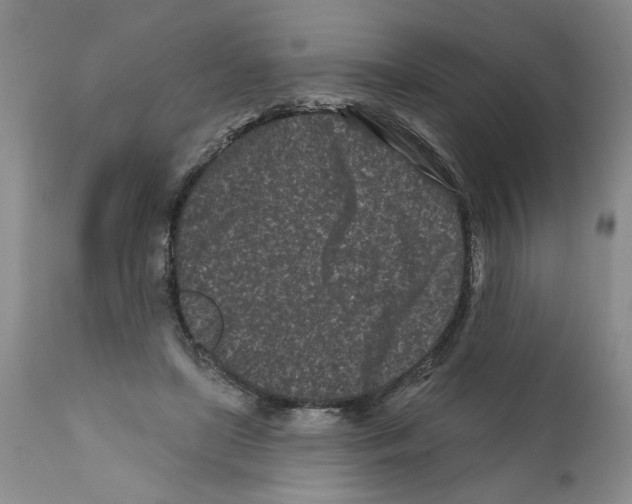 X0000112060451200909151029
