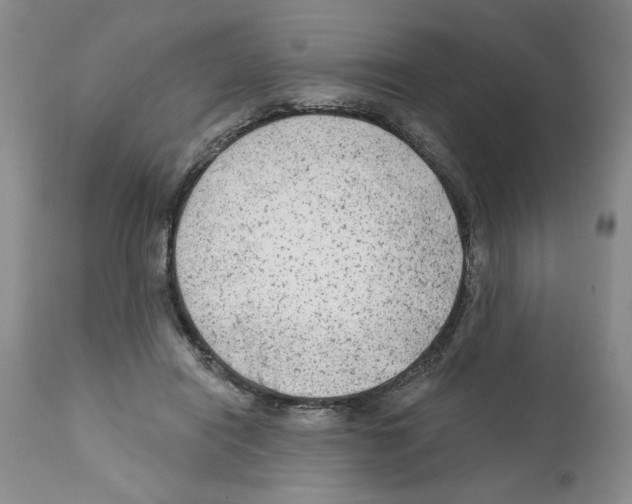 X0000112060454200909151029