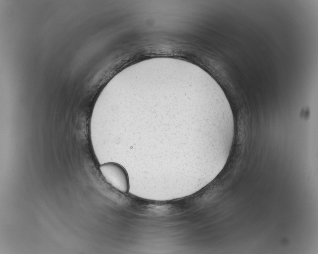 X0000112060457200909151029