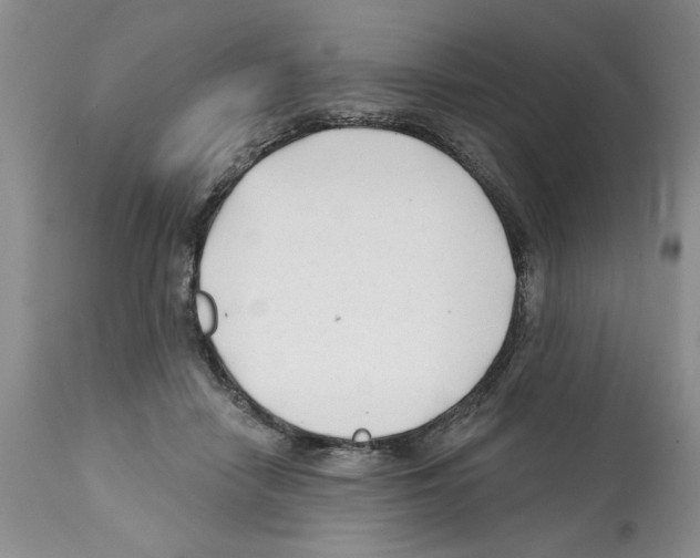 X0000112060458200909151029