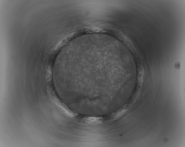 X0000112060465200909151030