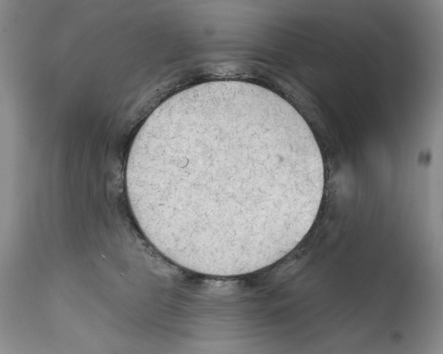 X0000112060469200909151030