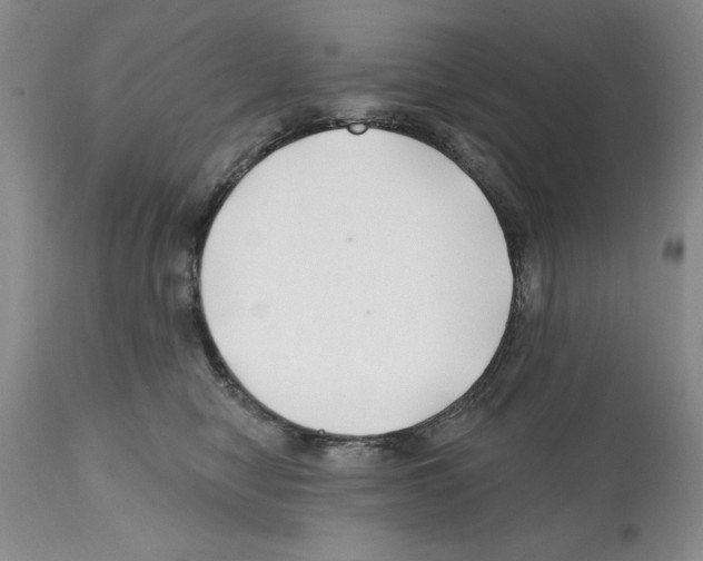 X0000112060470200909151030