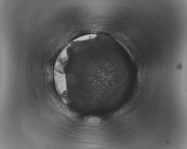 X0000112060471200909151030